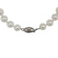 Classic Pearl Necklace