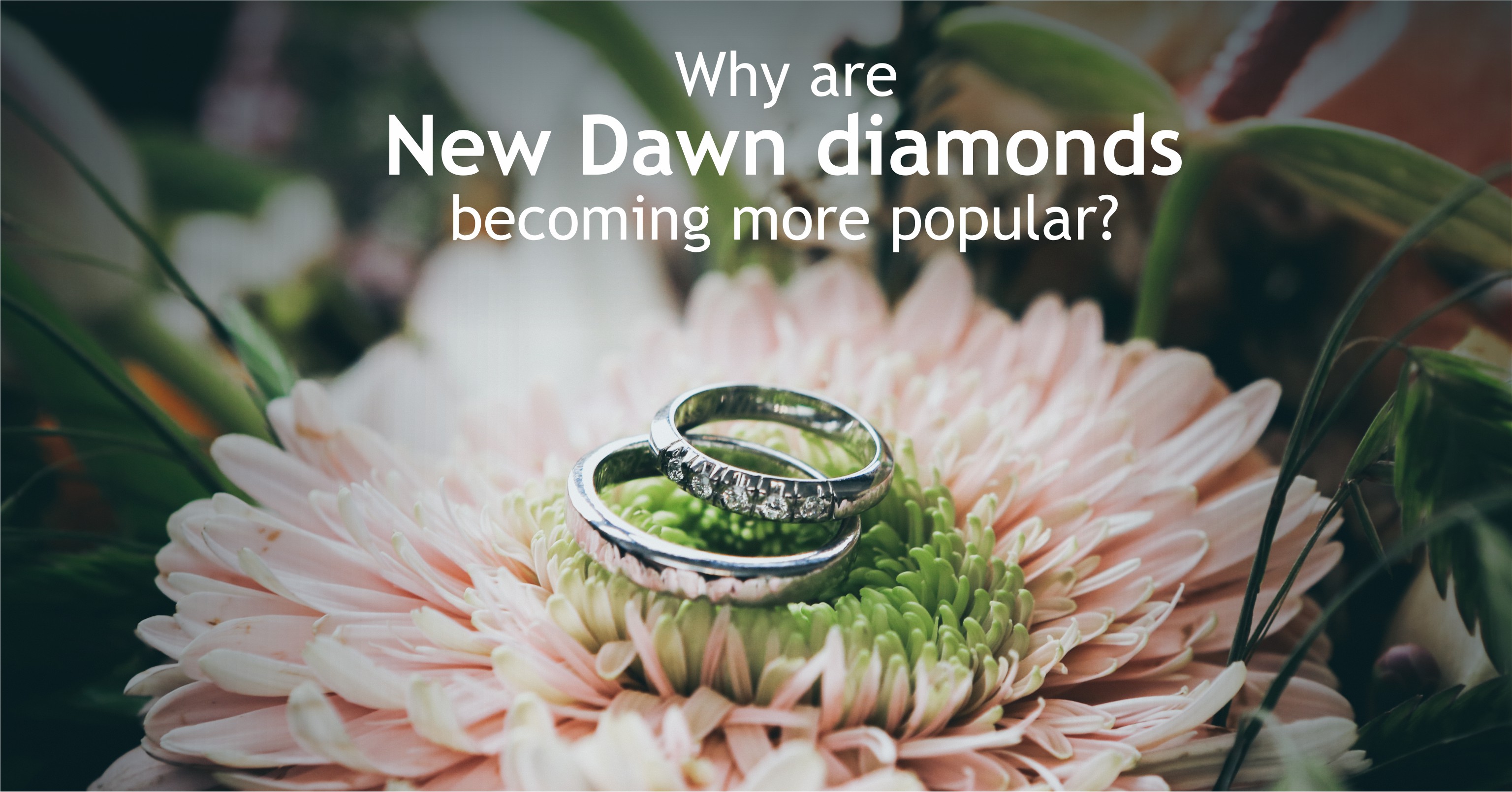 Why Are New Dawn Diamonds Becoming More Popular?